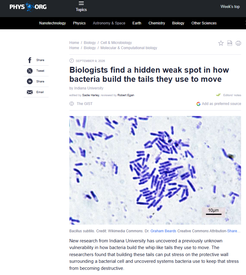 Phys.org article about bacterial flagellum research